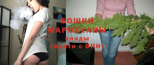 индика Верхний Тагил