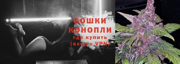 индика Верхний Тагил