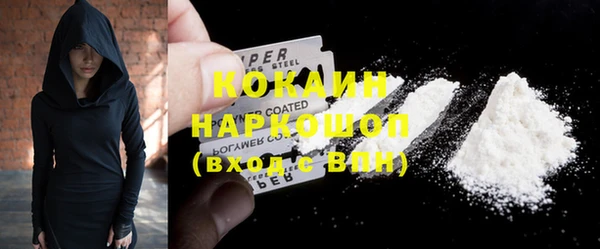 индика Верхний Тагил