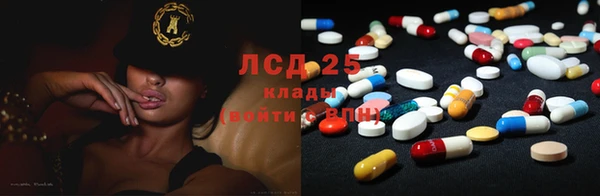 индика Верхний Тагил