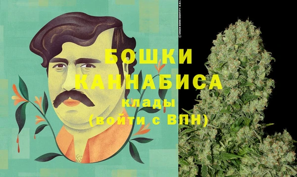 индика Верхний Тагил