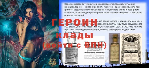 индика Верхний Тагил