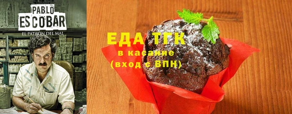 индика Верхний Тагил