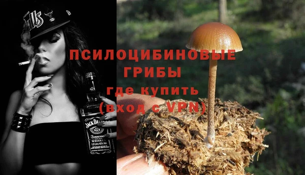 индика Верхний Тагил