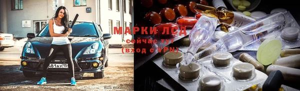 индика Верхний Тагил