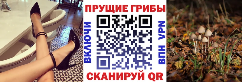 Псилоцибиновые грибы MAGIC MUSHROOMS  Рыбинск 